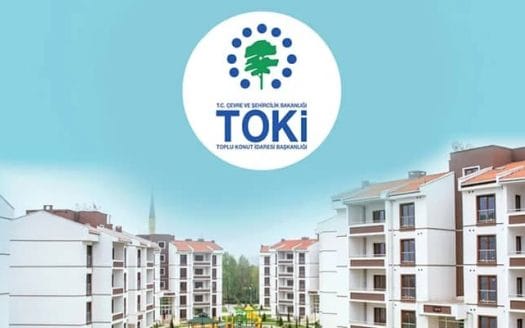 Toki's logo is the phrase "Toki" with a green tree above it and circular blue dots on an image of one of the company's projects