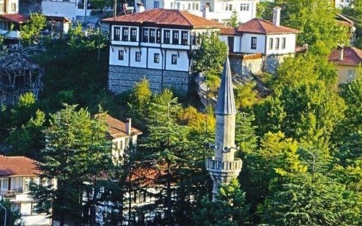 Residential houses among trees in Istanbul