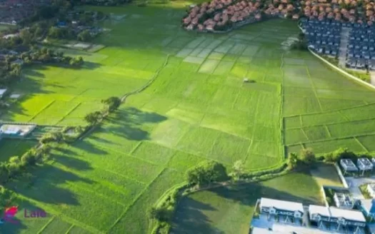 A large plot of land covered with green grass in Istanbul