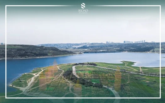 ماذا تعرف عن يني شهير